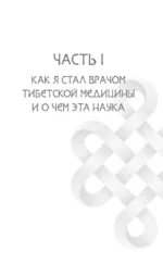 Тибетская медицина: современные практики здоровья — изображение 6