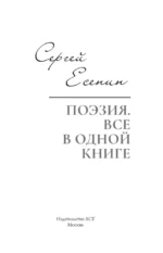 Поэзия. Все в одной книге — изображение 4