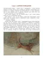Каштанка с иллюстрациями Геннадия Спирина — изображение 4