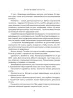Коллаген. Молодость в любимых рецептах — изображение 11