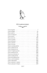 Паладин душ — изображение 6