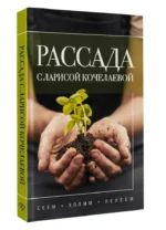 Рассада с Ларисой Кочелаевой. Сеем, холим и лелеем — изображение 4