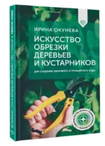 Искусство обрезки деревьев и кустарников для создания здорового и урожайного сада — изображение 2