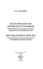 Искусство обрезки деревьев и кустарников для создания здорового и урожайного сада — изображение 3