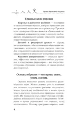 Простые правила обрезки. Омолаживаем сад для обильного цветения и плодоношения — изображение 5