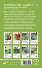 Виноградник вашей мечты — изображение 2