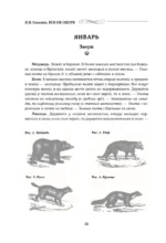 Все об охоте — изображение 11
