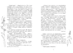 Рыцарские сны — изображение 6