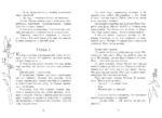 Рыцарские сны — изображение 8