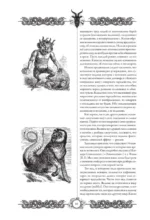 Молот ведьм (Malleus Maleficārum) — изображение 9