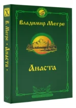 Анаста. Книга 10 (мягкая обложка) — изображение 2