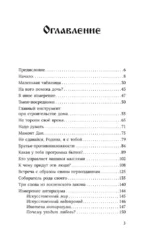 Анаста. Книга 10 (мягкая обложка) — изображение 4