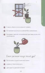 Нетипичный цветовод. Шпаргалка-трекер ухода за комнатными растениями в альтернативном грунте — изображение 8