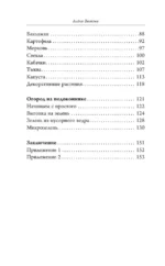 Урожай без грядок. Огород в контейнерах — изображение 4