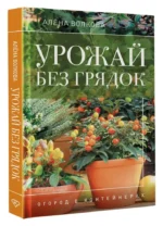 Урожай без грядок. Огород в контейнерах — изображение 5