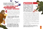 Птицы. Биология. Физиология — изображение 7