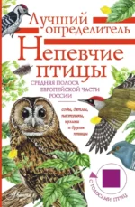 Непевчие птицы. Средняя полоса европейской части России. Определитель с голосами птиц. Евгений Коблик