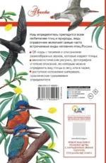 Непевчие птицы. Средняя полоса европейской части России. Определитель с голосами птиц — изображение 3