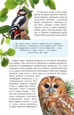 Непевчие птицы. Средняя полоса европейской части России. Определитель с голосами птиц — изображение 6