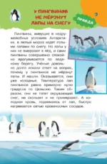 А правда, что... — изображение 5