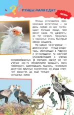 А правда, что... — изображение 6