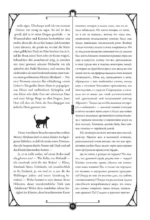 Житейские воззрения кота Мурра = Lebens-Ansichten des Katers Murr — изображение 16