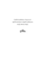 Жестокая жажда — изображение 5
