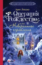 Операция Рождество, или Невероятное ограбление. Арне Линдму