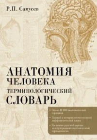 Анатомия человека. Терминологический словарь. Рудольф Самусев