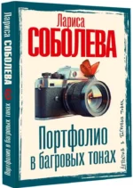 Портфолио в багровых тонах — изображение 2