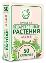 Лекарственные растения от А до Я. 50 карточек — изображение 2