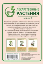 Лекарственные растения от А до Я. 50 карточек — изображение 3