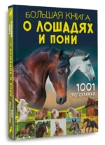 Большая книга о лошадях и пони. 1001 фотография — изображение 2