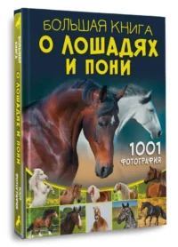 Большая книга о лошадях и пони. 1001 фотография — Детские энциклопедии