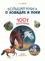 Большая книга о лошадях и пони. 1001 фотография — изображение 4