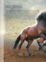 Большая книга о лошадях и пони. 1001 фотография — изображение 8