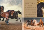 Большая книга о лошадях и пони. 1001 фотография — изображение 9
