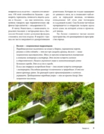 Балконные сады. Личный терапевтический сад в каменных джунглях - балконы, террасы, веранды и крыши — изображение 11