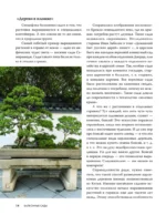 Балконные сады. Личный терапевтический сад в каменных джунглях - балконы, террасы, веранды и крыши — изображение 15