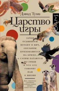 Царство игры. Дэвид Туми