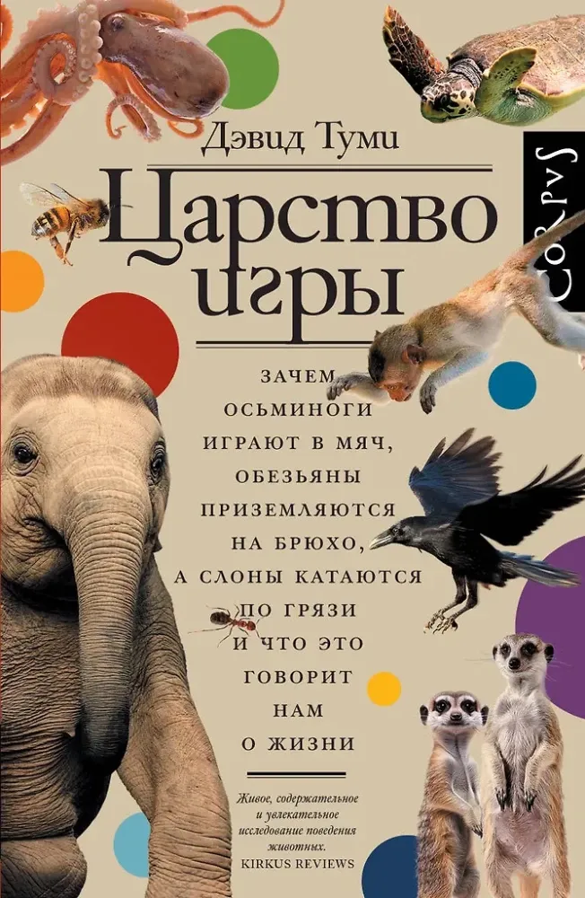 9785171667894_0.webp Царство игры. Дэвид Туми