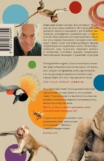 Царство игры — изображение 2