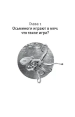 Царство игры — изображение 11