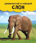 Животные — изображение 5