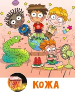 Тело человека — изображение 13
