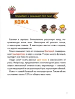 Тело человека — изображение 14