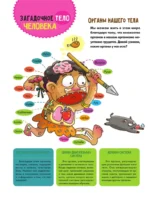 Тело человека — изображение 9