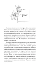 Солнце, которого не было — изображение 4