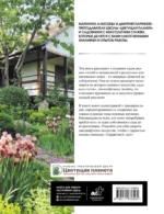 Здравствуй, сад. Идеи и решения для вашего участка — изображение 3