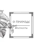 О природе — изображение 12